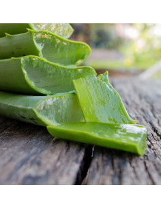 Nathalie Aloe Vera Gel 2