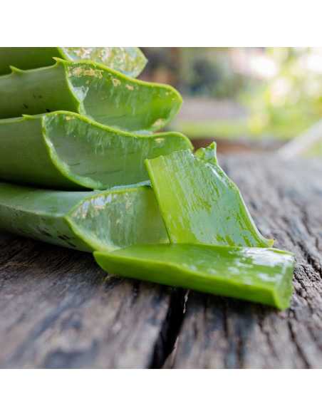 Nathalie Aloe Vera Gel