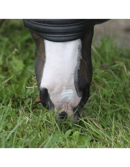 Nathalie Sun Lotion SPF 30