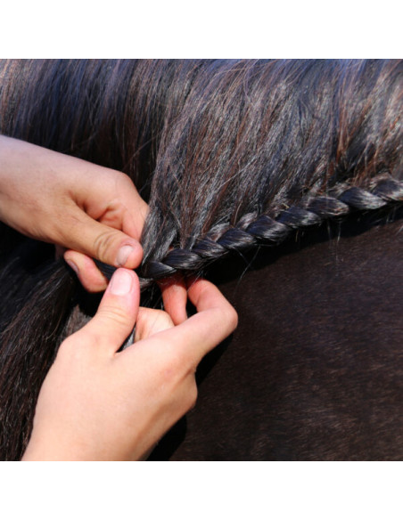 Nathalie Strong Hold Plait