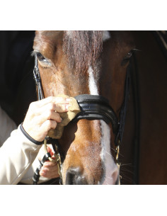 Nathalie Leather Conditioner 2