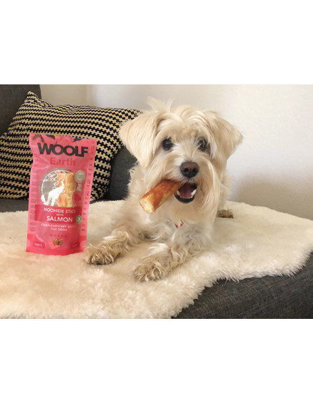 Woolf Earth Noohide sticks salmon