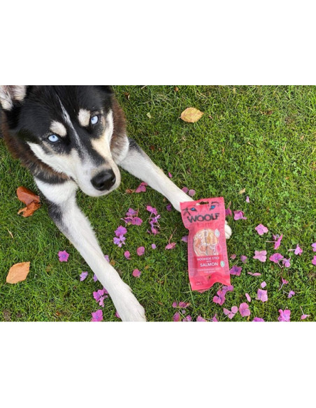 Woolf Earth Noohide sticks salmon
