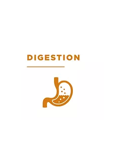 STATERA Dog Stomach-Reset Genskaber bakteriefloraen i tarmsystemet 2