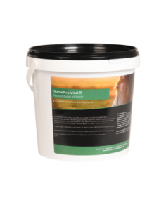 HorsePro Vital B vitamin