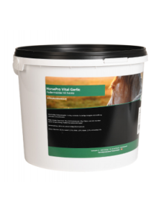 HorsePro Vital Garlic