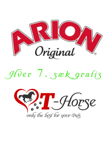 Arion Kitten 35/21