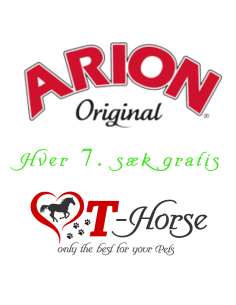 ARION Grain Free - Salmon & Potato 2