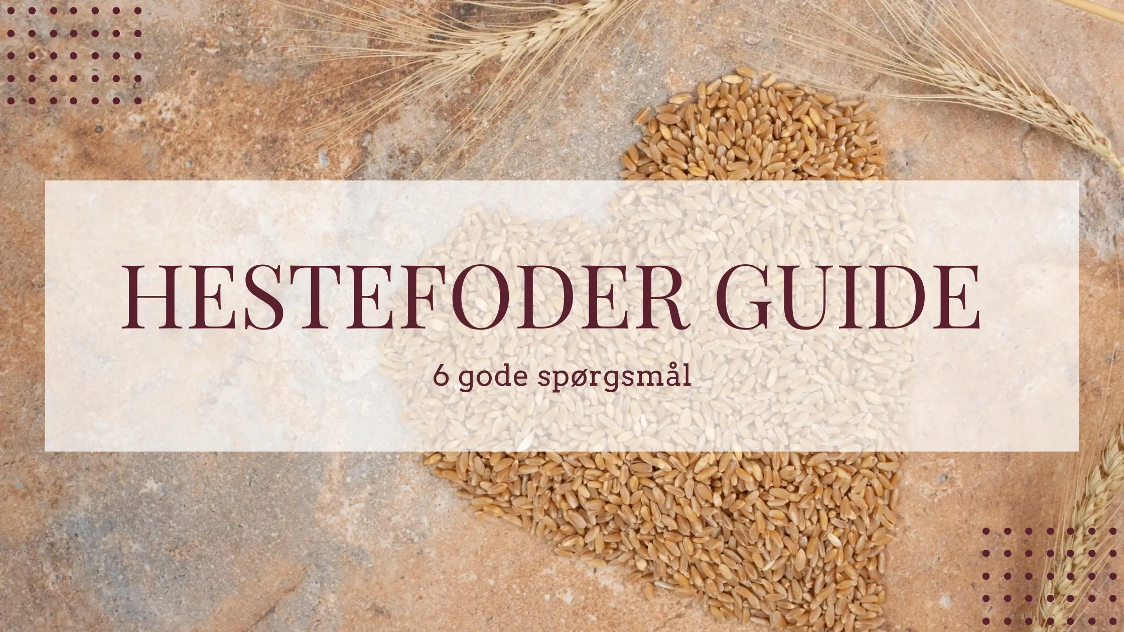 hestefoder hjerte 