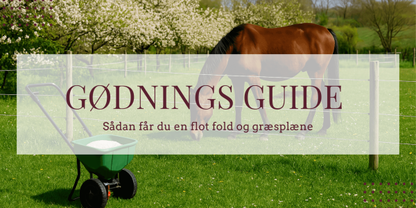 Sådan plejer du din græsplæne og folde 
